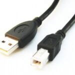 Cablexpert | CCP-USB2-AMBM-6 | USB-A to USB-B USB A | USB B