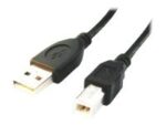 Cablexpert | CCP-USB2-AMBM-6 | USB-A на USB-B | USB A | USB B — изображение 3