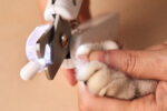 PETKIT | LED Light Nail Clipper | White