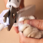 PETKIT | LED Light Nail Clipper | White