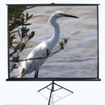 Elite Screens | Tripod Series | T100UWV1 | Diagonal 100  | 4:3 | Viewable screen width (W) 203 cm | Black
