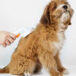 PETKIT | Large Pet Grooming Brush 2 | White - Image 9