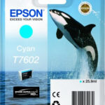 Epson T7602 | Ink Cartridge | Cyan