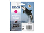 Чернильный картридж Epson T7603 | Пурпурный — изображение 3