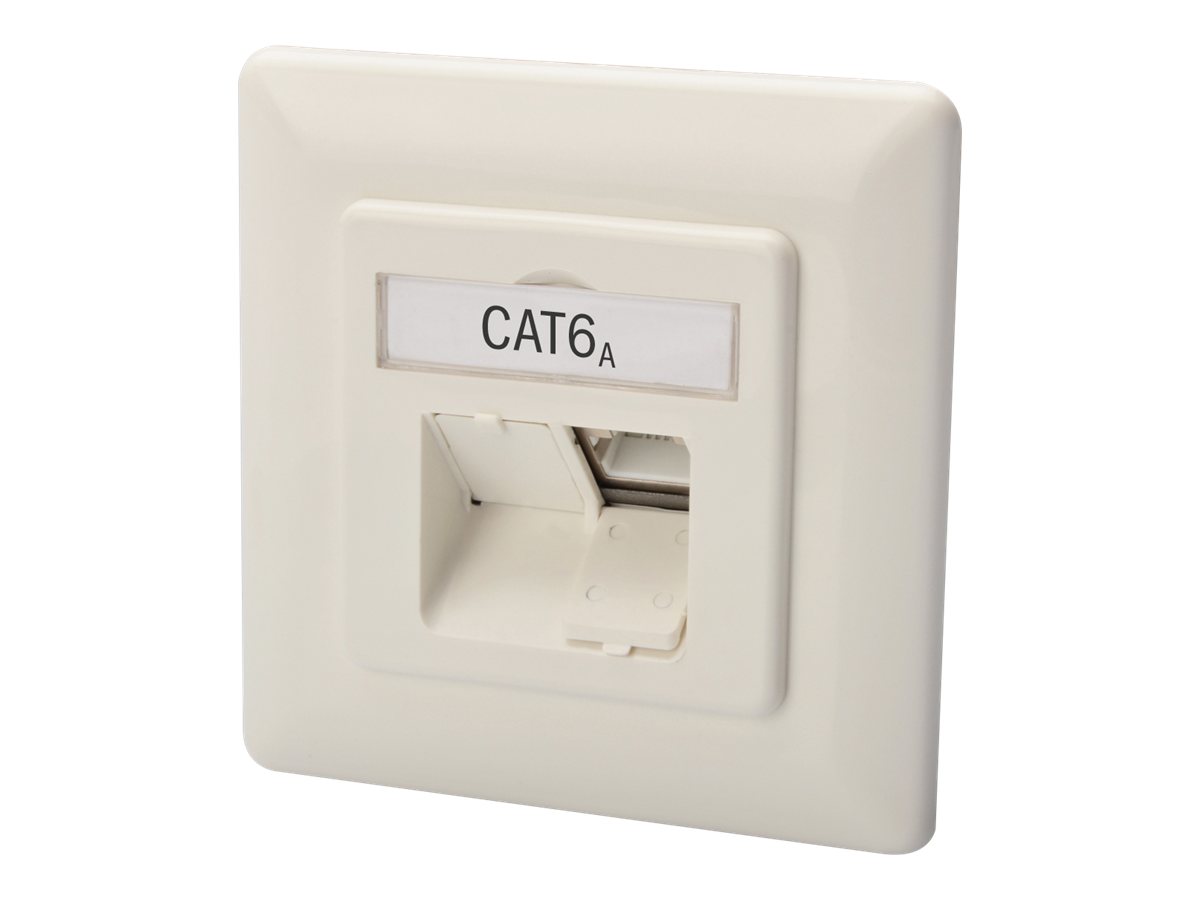 original-49318.jpg Digitus CAT 6A Class EA network outlet,shielded,2xRJ45,LSA pure white, flush mount, horizontal cable install. | CAT 6A Class EA network outlet, shielded - Image 1