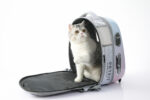 PETKIT | Pet Carrier | Breezy2 | Pink - Image 10