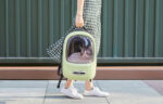PETKIT | Pet Carrier | Breezy2 | Green - Image 3