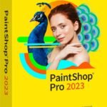 Лицензия PaintShop Pro 2023 Corporate Edition для одного пользователя Corel