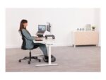 Fellowes - Image 8