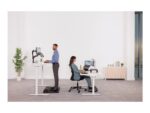 Fellowes - Image 12
