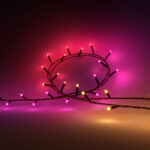 Philips Hue Festavia string lights 250 LED, 20m | 14 W | Variable - Image 2