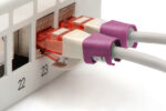 Digitus | Color clips for Patch cable | A-CC-MG | Magenta - Image 4
