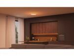 Philips Hue Datura Ceiling Light Small 38.4cm | 48 W - Image 5