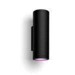 Philips Hue WCA Appear Outdoor Wall Lantern, Black | 8 W | 2000-6500 Hue White Colour Ambiance