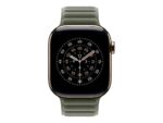 Apple 42mm Sage Gray Magnetic Link - S/M | Apple - Image 3