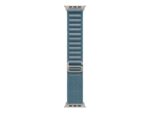 Apple 49mm Light Blue Alpine Loop - Large - Natural Titanium Finish | Apple