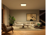 Philips Hue Surimu Square Panel Light, 60 x 60 cm | 2000-6500 Hue White Color Ambiance - Image 5