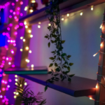Twinkly|Strings viedās LED gaismas 100 RGB (daudzkrāsainas), 8 m, melns vads|RGB – vairāk nekā 16 miljoni krāsu - Image 2