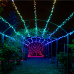 Twinkly|Strings viedās LED gaismas 100 RGB (daudzkrāsainas), 8 m, melns vads|RGB – vairāk nekā 16 miljoni krāsu - Image 7