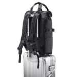 Asus PP4600 PROART | Fits up to size 16  | Backpack | Black - Image 6