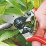 Felco | Одноручные секаторы | FELCO 6 — изображение 4