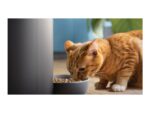 Philips viedais barotājs ar kameru | PAW5320/02 5000. sērija - Image 8
