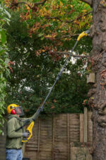 Stanley Cordless chainsaw SFMCPS720M1-QW, 18 V, 20 cm - Image 7